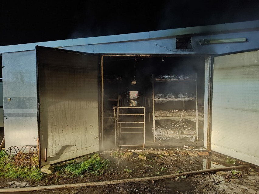 Pożar pieczarkarni w Wielichowie. Straty sięgnęły 150 tysięcy złotych