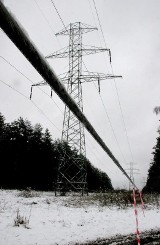 Awarie linii energetycznych pozbawiły prądu 400 mieszkańców powiatu piotrkowskiego