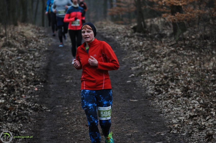 City Trail w Katowicach - zdjęcia z finałowego biegu [28 luty 2016]