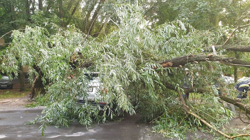 Nawałnica nad Opolszczyzną. Interwencje strażaków w całym regionie [RAPORT 28.07.2020]