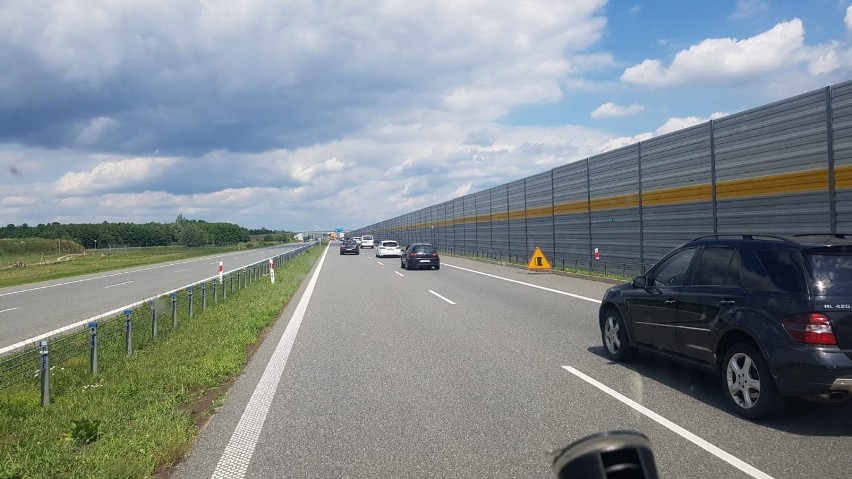 Zderzenie na autostradzie pod Grudziądzem. 14-latka trafiła do szpitala [zdjęcia]