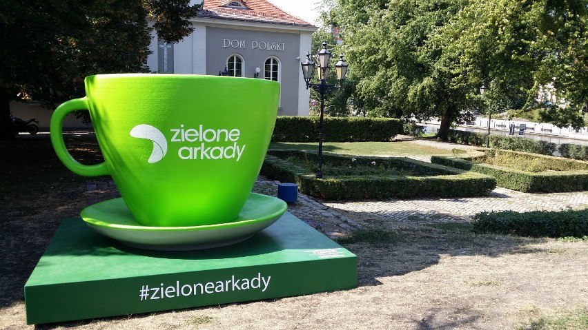Wielkie zielone figury na ulicach Bydgoszczy. Akcja wspiera bydgoskie schronisko dla zwierząt [zdjęcia]