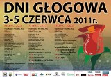 Wyjątkowe Dni Głogowe - Głogowski Festiwal Róż