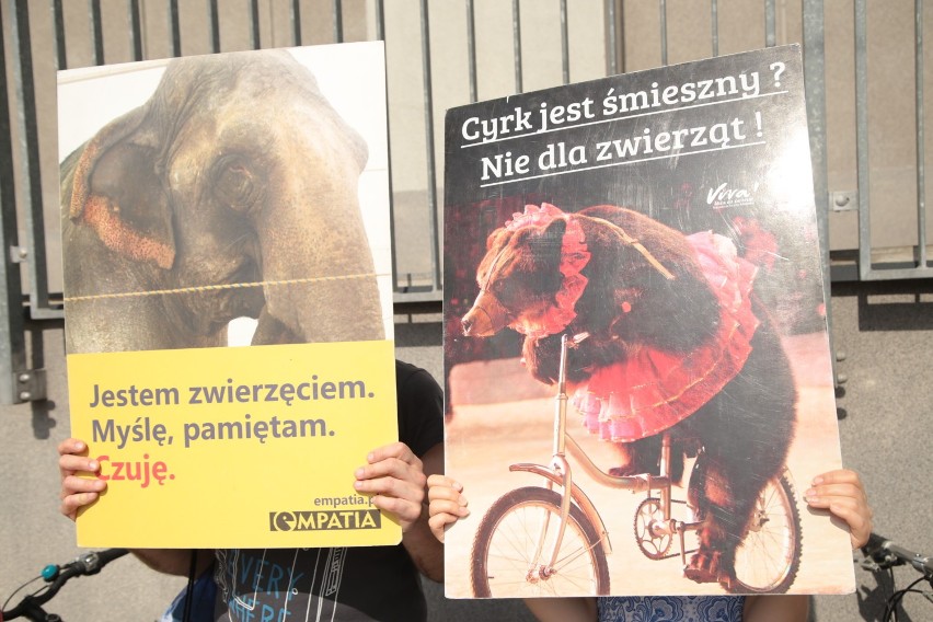 „Nie dla cyrku ze zwierzętami”. Warszawski protest pod...