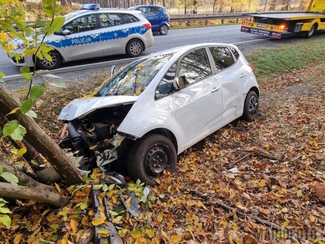 Osobowa KIA uderzyła w drzewo na ważnej drodze krajowej w Jełowej na drodze krajowej nr 45 Opole-Kluczbork.