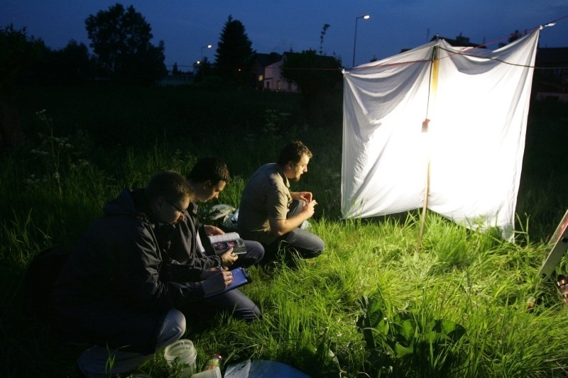 Tuga BioBlitz, czyli Ćmobranie 2011