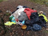 Śmieci w lesie w Kunicach. Ktoś zostawił mnóstwo ciuchów między drzewami