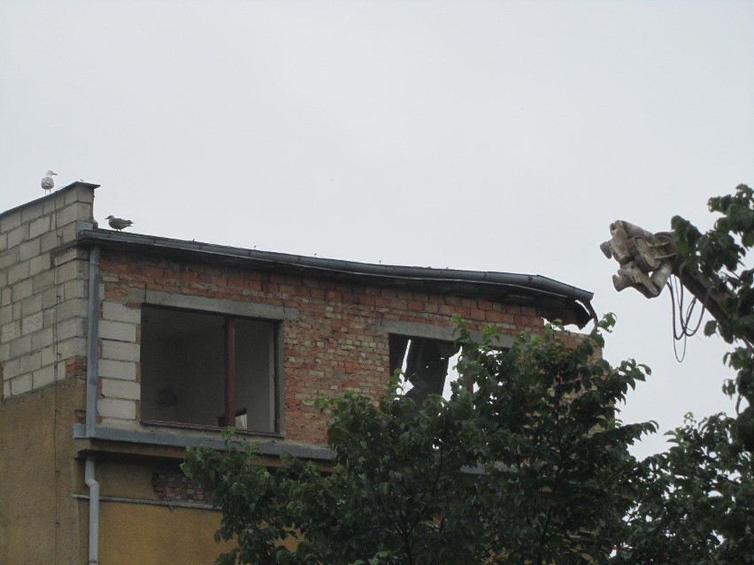 Rozbiórka budynku przy ul. św. Piotra 10 w Gdyni. Wyburzają budynek razem - co z gniazdem mew? LIST
