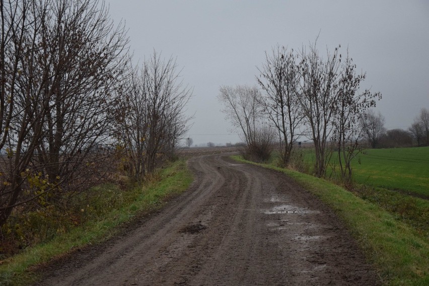 Gmina Malbork. Pielica to najmniejsza wieś w województwie pomorskim 