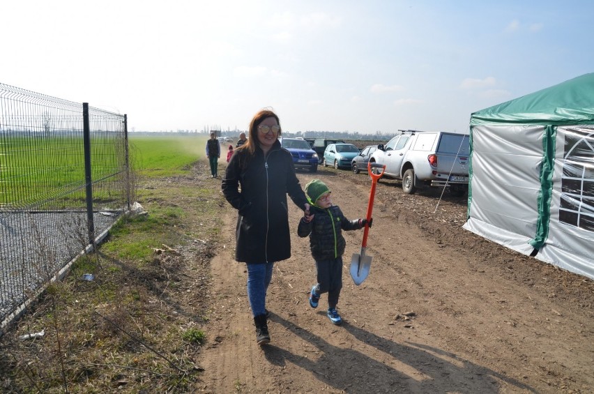 Gmina Czerniejewo. Był las i... znów będzie. Mieszkańcy w akcji "Nowy las dla Żydowa" [FOTO, VIDEO]