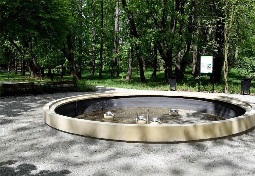 W maju parki wyglądają najpiękniej. Zobaczcie pełnię wiosny w Parku Miejskim im. Bohaterów Monte Cassino w Jarosławiu [ZDJĘCIA]