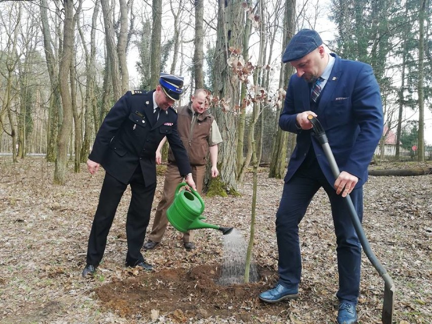 Powitanie wiosny i Międzynarodowy Dzień Lasu w Nadleśnictwie Grodzisk [ZDJĘCIA]