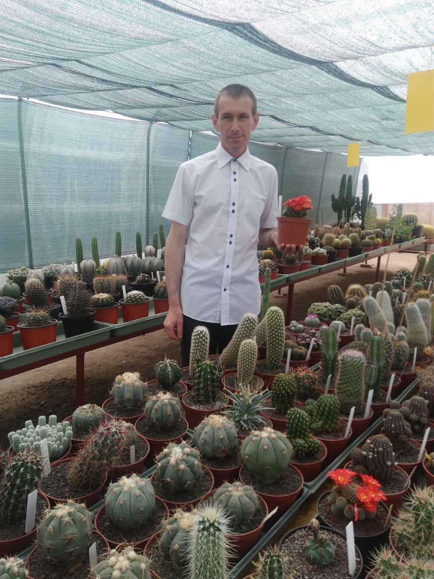 Gerard Kowalski jest posiadaczem około 5 tys. sztuk kaktusów