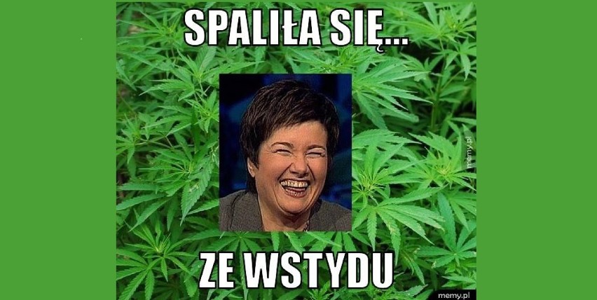 Hanna Gronkiewicz-Waltz i plantacja marihuany na działce...