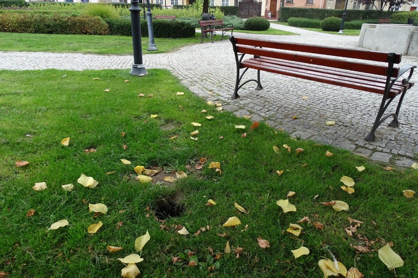 WSCHOWA. Niebezpieczeństwa czyhają  - odkryte  studzienki, zarośnięte pobocza [ZDJĘCIA]