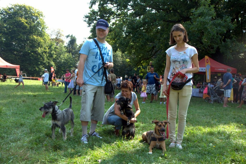 Wrocław: Święto psów w Parku Południowym (ZDJĘCIA)