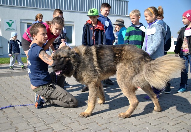 Światowy Dzień Zwierząt w lubelskim schronisku