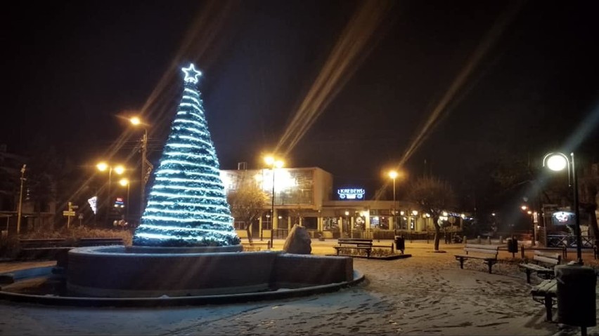 Bajeczna choinka w Jastrzębiej Górze (Boże Narodzenie 2018)