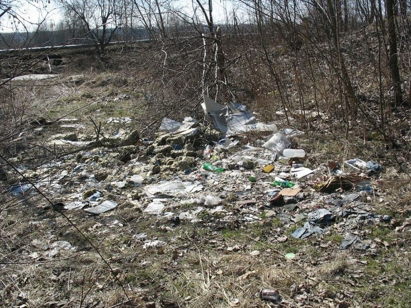 Mieszkańcy informują: śmieci są stałym elementem towarzyszącym spacerom po Piaskach w Czeladzi