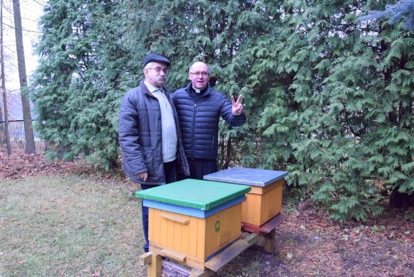 Podarował księdzu dwa ule. Ten zmienił się w pszczelarza z krwi i kości!