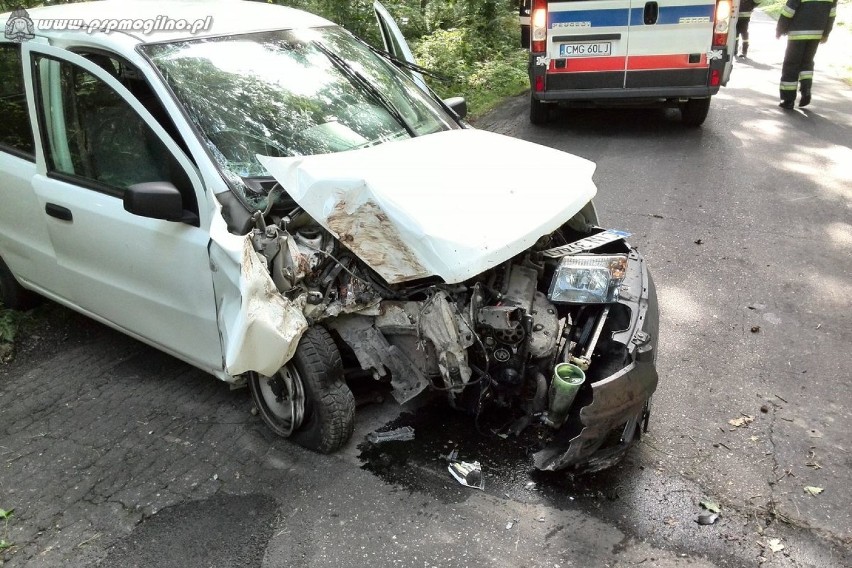 Wypadek samochodu osobowego w pobliżu Przyjezierza [ZDJĘCIA]