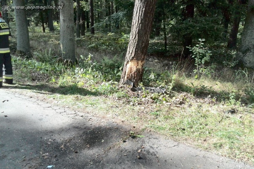 Wypadek samochodu osobowego w pobliżu Przyjezierza [ZDJĘCIA]