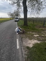 Koziołek zginął na drodze do Białośliwia. Próbowali mu pomóc przypadkowi kierowcy 