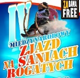 Międzygórze: Zjazd na Saniach Rogatych