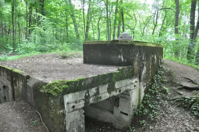 Bunkry nad jeziorem Łobez w Białym Borze