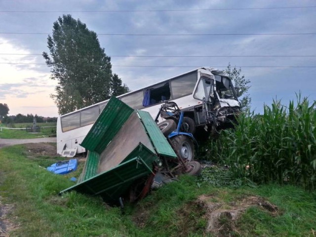 Dziesięcioro dzieci oraz trzy osoby dorosłe zostały poszkodowane w zderzeniu autokaru i ciągnika rolniczego w miejscowości Krępa (powiat poddębicki). Autobusem podróżowali koloniści z gminy Kościelec, wracający z letniego wypoczynku w górach.

CZYTAJ WIĘCEJ: Autokar z dziećmi zderzył się z ciągnikiem. W wypadku ucierpieli koloniści z Kościelca [FOTO]