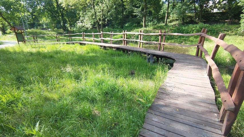 Park Krakowska w Będzinie poleca się na spacery i letni...