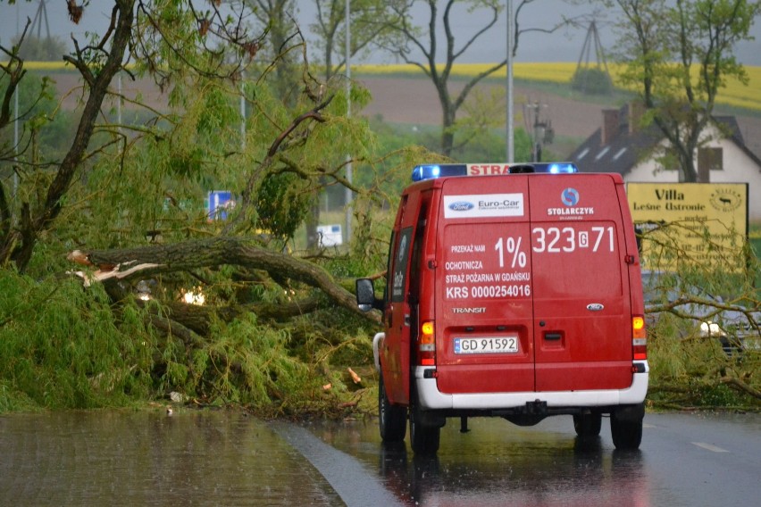 Ulewa na Kociewiu: Przewrócone drzewo, zalany szpital, wypadek drogowy. ZDJĘCIA