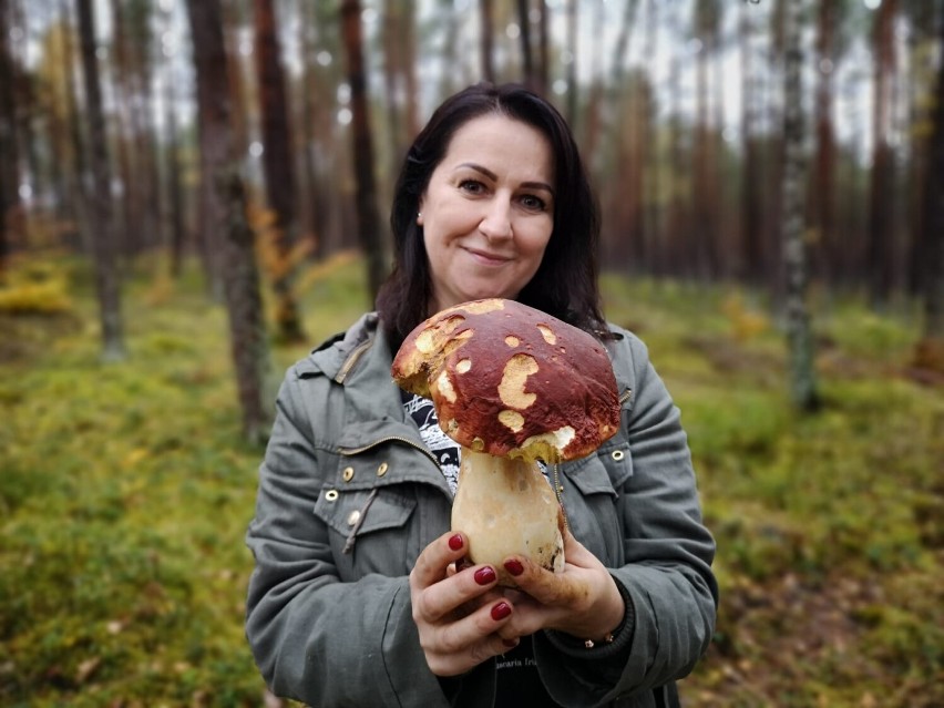 Złotowianka Agnieszka Krawczyk ma nietypowe hobby. Zbiera grzyby przez cały rok. Zimą też są grzyby w lesie