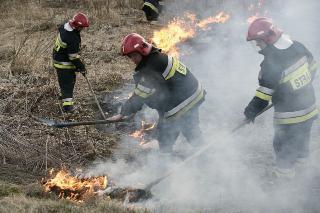 Co roku, na wiosnę, strażacy wyjeżdżają do zgłoszeń związanych z wypalaniem traw