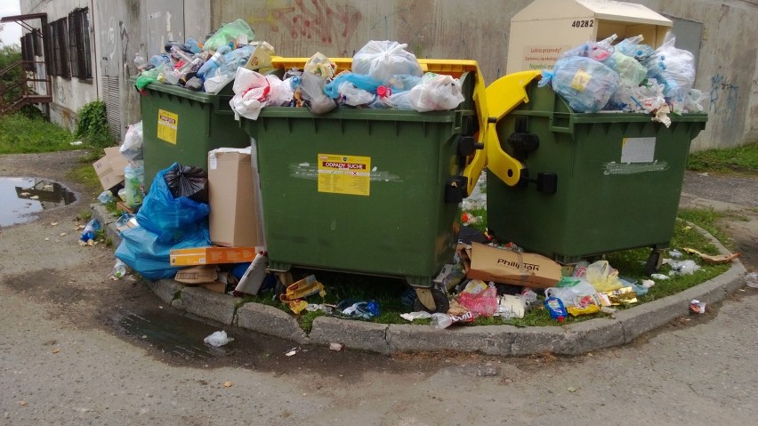 Mysłowice: nowa ustawa śmieciowa. Będą wywozić odpady częściej?