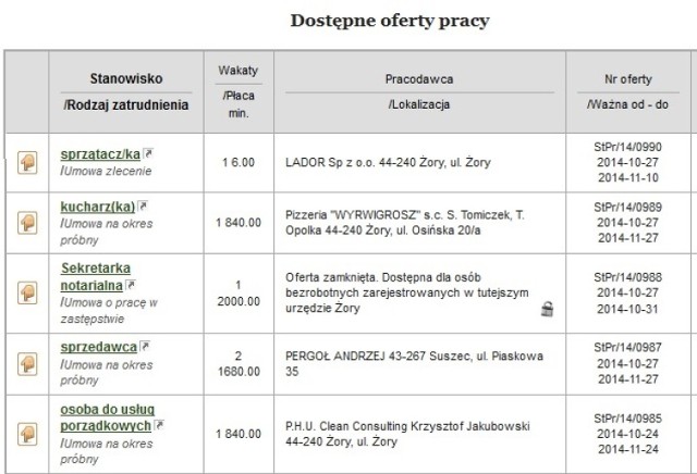 Oferty pracy Żory: Sprawdź, jakie są. Ile możesz zarobić?