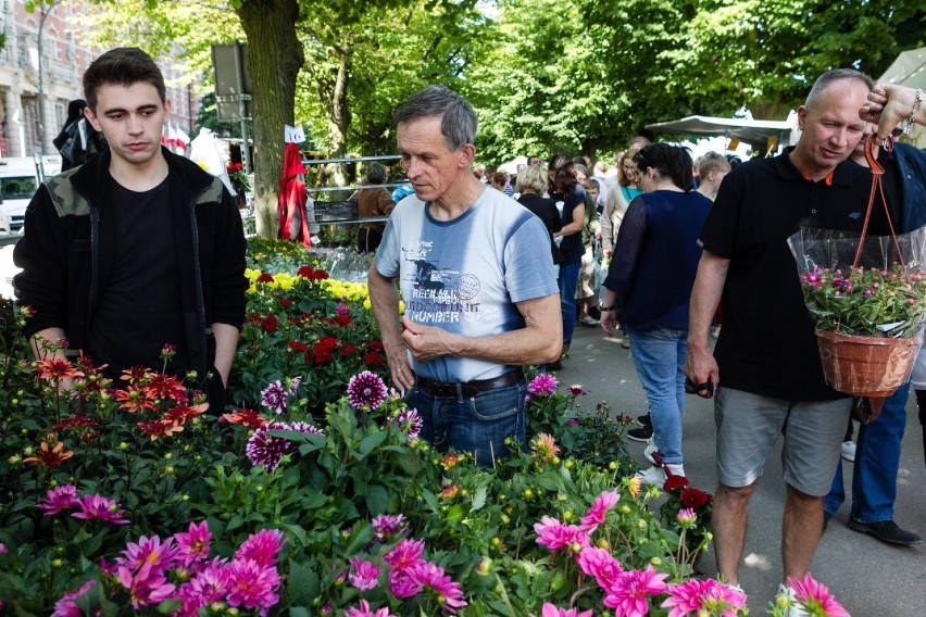 Kiermasz na Wałach Chrobrego. Jest pięknie i kolorowo [ZDJĘCIA]