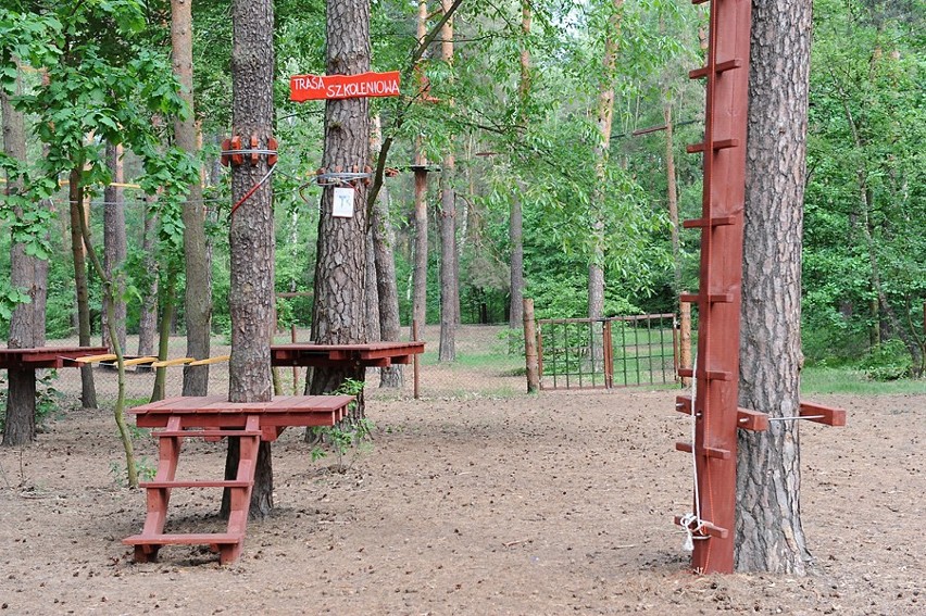 Pyrland Park: Pierwszy park linowy w Poznaniu [ZDJĘCIA]