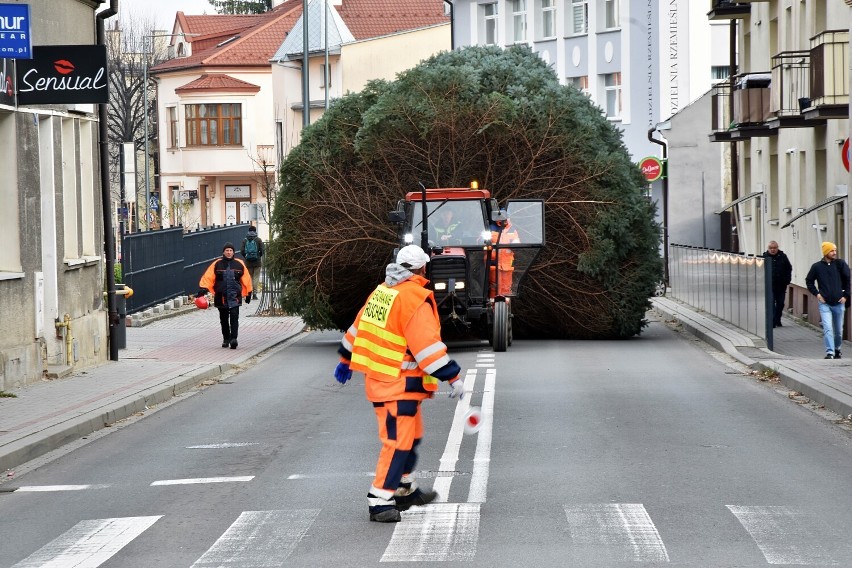 O tej choince która stanęła na gorlickim Rynku nikt nie...