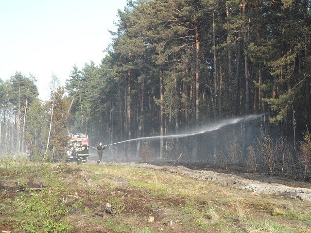 Dębowiec: Znów palił się las. W akcji brało udział 21 jednostek straży [FOTO]