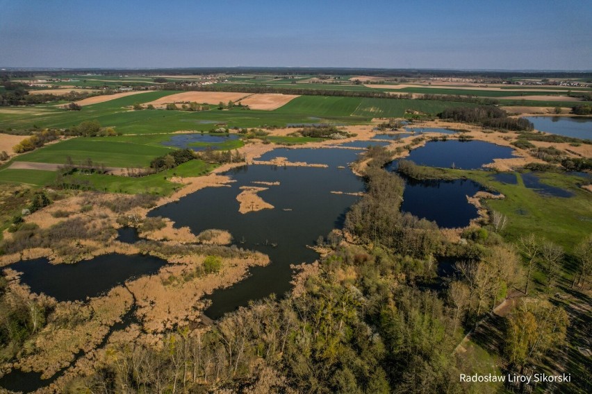 Biskupin z lotu ptaka. Wiosenne ujęcia Radka Sikorskiego [FOTO]