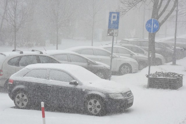 Auta w środmieściu to spory problem Zielonej Góry?