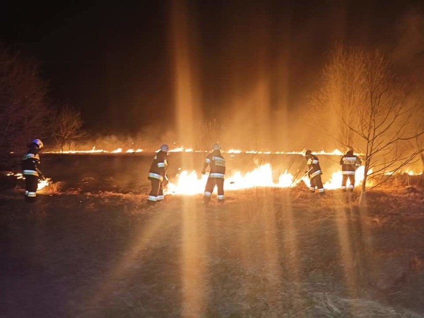 Pożar traw w Kosienicach w powiecie przemyskim. Wyjechali strażacy z OSP Maćkowice