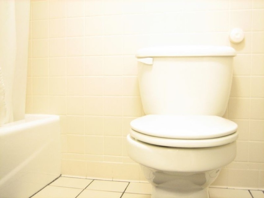 Najszybsza toaleta świata

Kanadyjska kaskaderka Jolene Van...