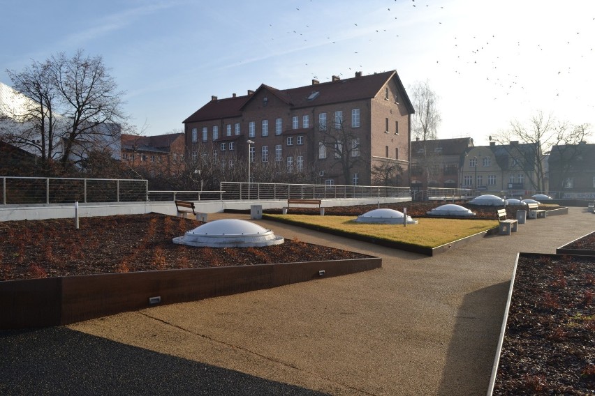 Tak wyglądał skwer wczesną wiosną, gdy został oddany do...