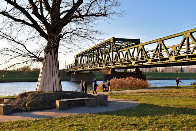 Budowa drugiej przeprawy kolejowej nad Odrą w Opolu rozpocząć ma się na przełomie stycznia i lutego