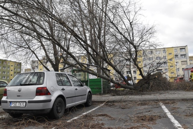 Strażacy już od północy działają w terenie. Problemem są głównie powalone drzewa. IMGW ostrzega przed niżem Eunice