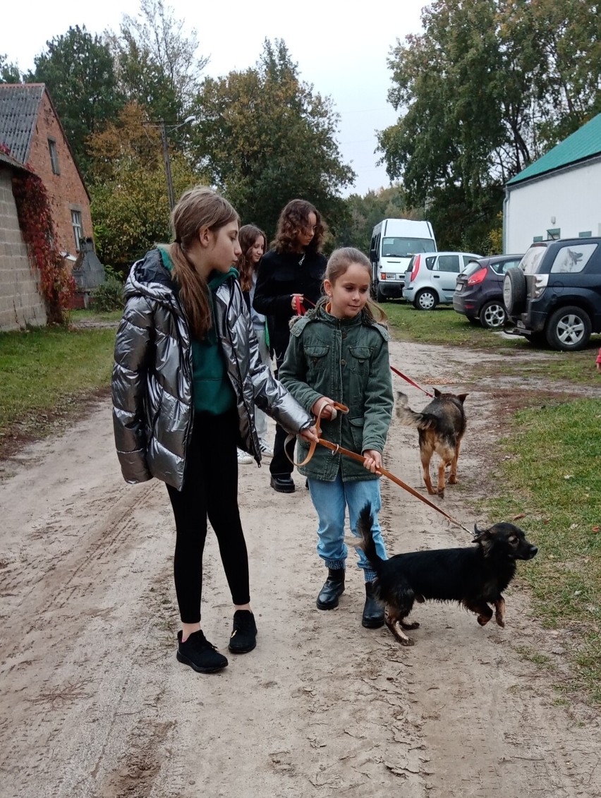 Wolontariusze ze Szkoły Podstawowej w Skokach w schronisku...