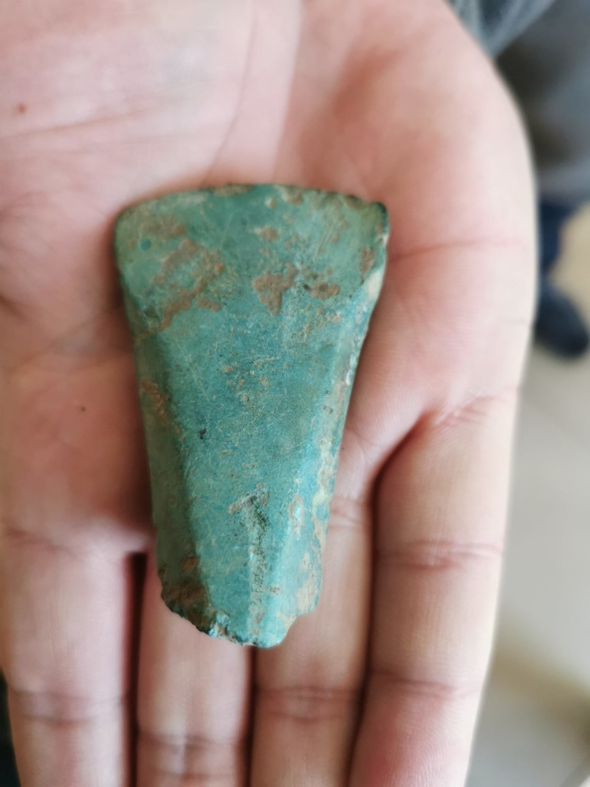 Gmina Żarów. Pięcioletnia Łucja odnalazła archeologiczny skarb! Był ukryty w lesie przez trzy tysiące lat