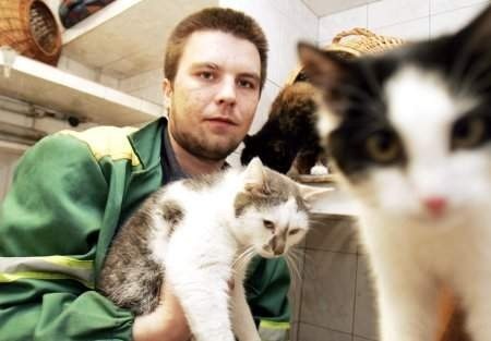 Wiele porzuconych kotów trafia do schroniska dla bezdomnych zwierząt. - Tam mogło trafić też zakatowane w Goduszynie zwierzę - mówi Eugeniusz Ragiel. FOT. MARCIN OLIVA SOTO